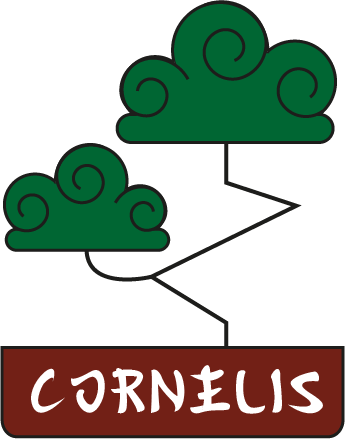 Edition numérique - Estéban Cornélis